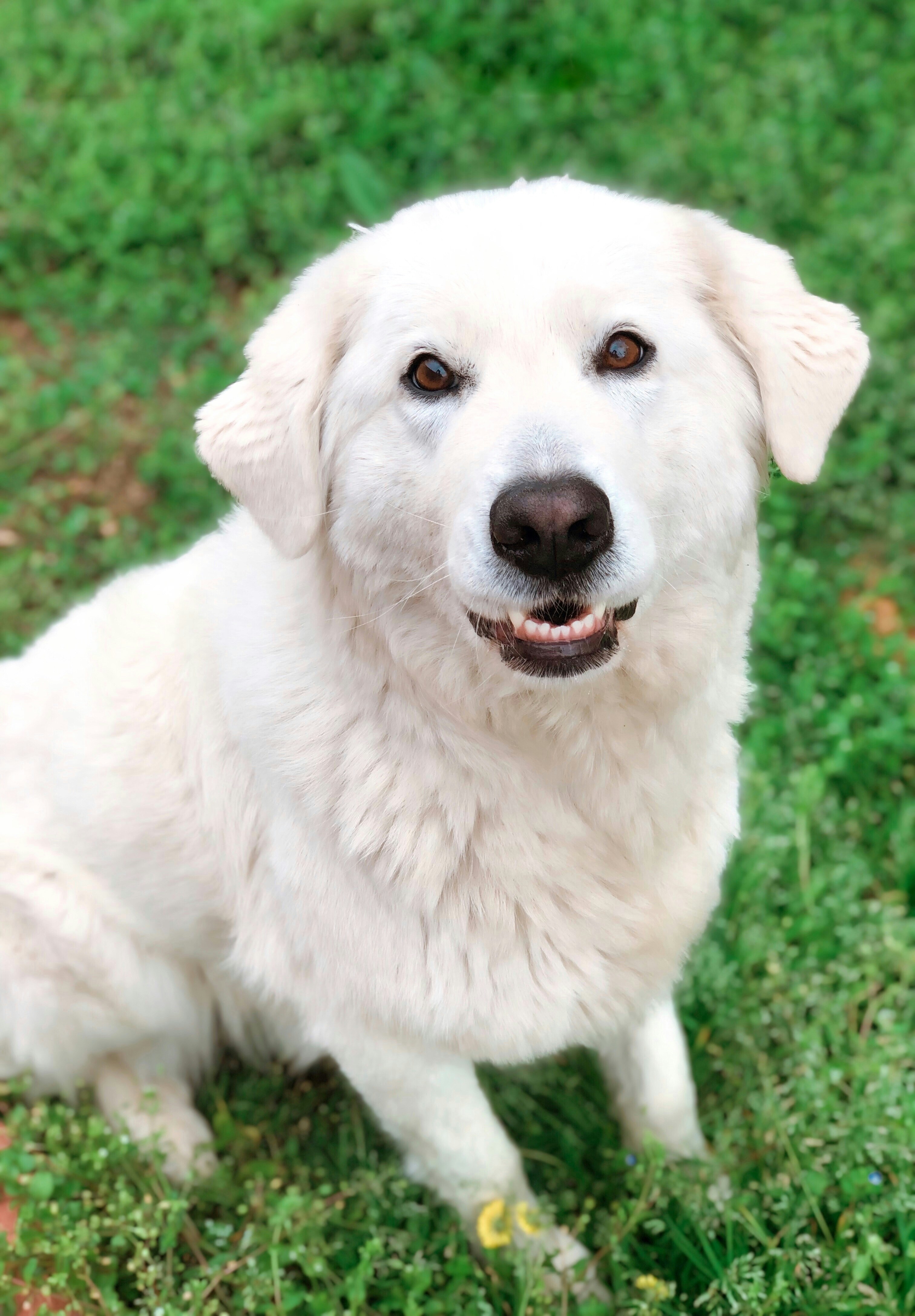 Photo by veronicaboggiani7