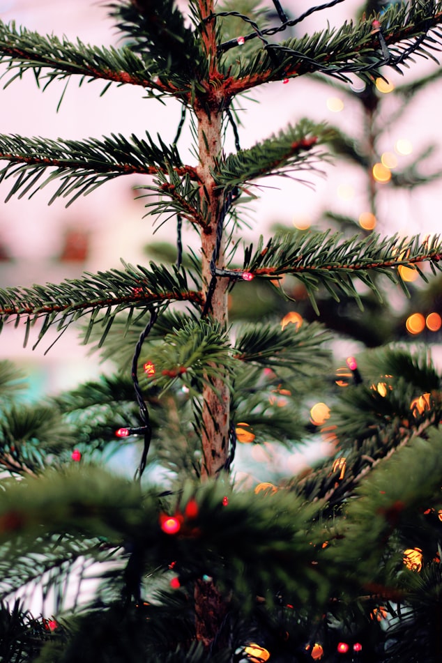 sapin noel