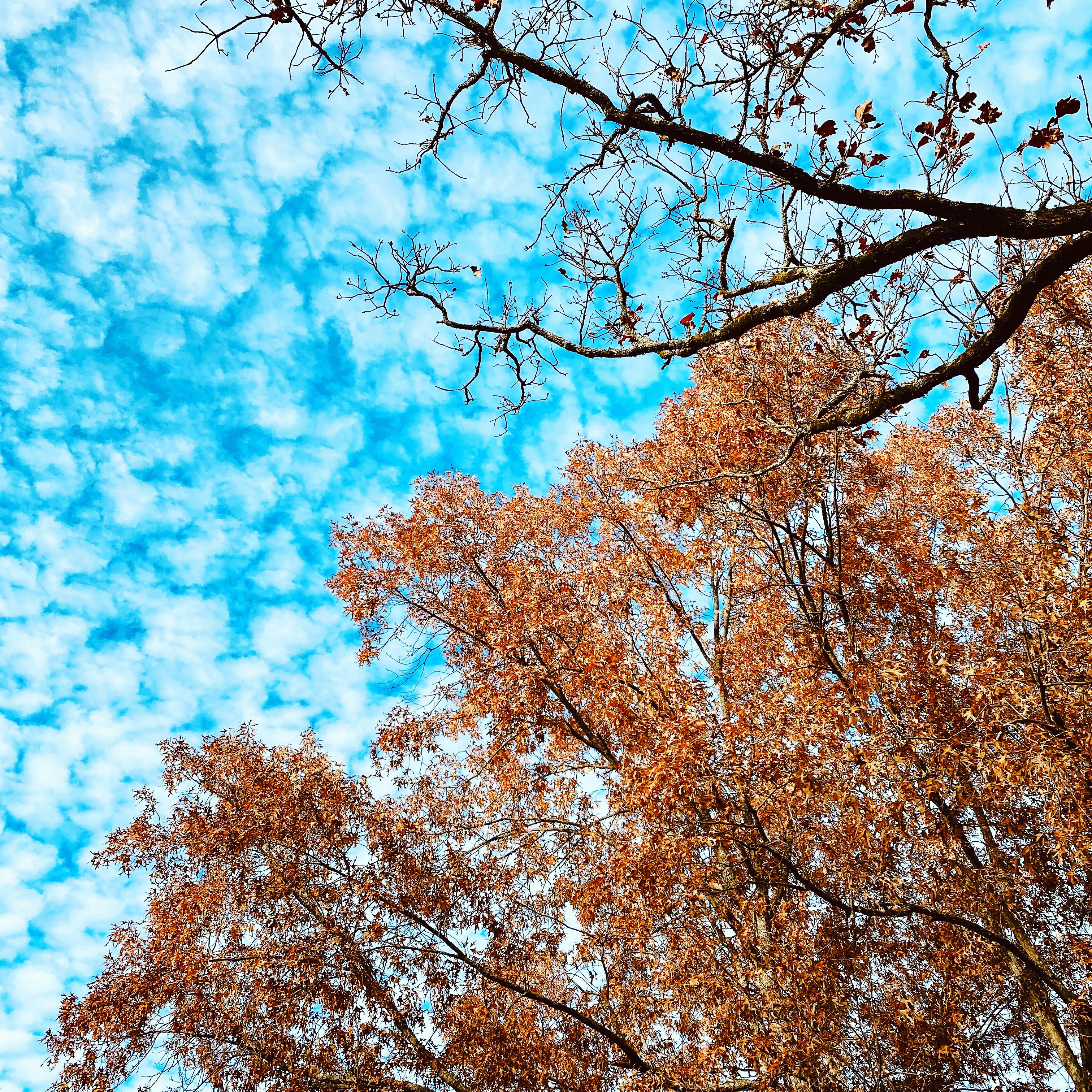 Photo by itsfullofstars