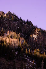 A rugged mountain ridge bathed in early morning light, with dense pine forests stretching below.
