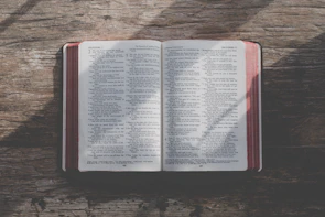 Close-up of a book open on a wooden table with sunlight streaming in, showing crisp, readable pages.