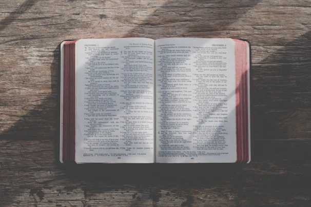 An open book from the 'Books of Riches' collection resting on a rustic wooden table with sunlight streaming in