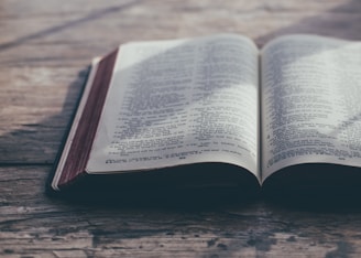 opened book on wooden surface