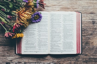 opened bible