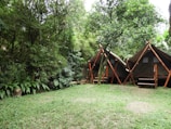 Two elevated tents with triangular roofs made of dark fabric sit nestled in a lush, forested area surrounded by tall, leafy trees and dense foliage. The foreground shows a grassy clearing with some patches of exposed earth, while the background reveals a densely wooded environment. The tents are supported by wooden poles and appear to be designed for camping or glamping.