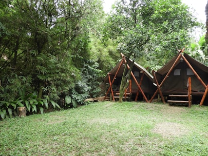 Two elevated tents with triangular roofs made of dark fabric sit nestled in a lush, forested area surrounded by tall, leafy trees and dense foliage. The foreground shows a grassy clearing with some patches of exposed earth, while the background reveals a densely wooded environment. The tents are supported by wooden poles and appear to be designed for camping or glamping.