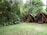 Two elevated tents with triangular roofs made of dark fabric sit nestled in a lush, forested area surrounded by tall, leafy trees and dense foliage. The foreground shows a grassy clearing with some patches of exposed earth, while the background reveals a densely wooded environment. The tents are supported by wooden poles and appear to be designed for camping or glamping.