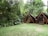 Two elevated tents with triangular roofs made of dark fabric sit nestled in a lush, forested area surrounded by tall, leafy trees and dense foliage. The foreground shows a grassy clearing with some patches of exposed earth, while the background reveals a densely wooded environment. The tents are supported by wooden poles and appear to be designed for camping or glamping.