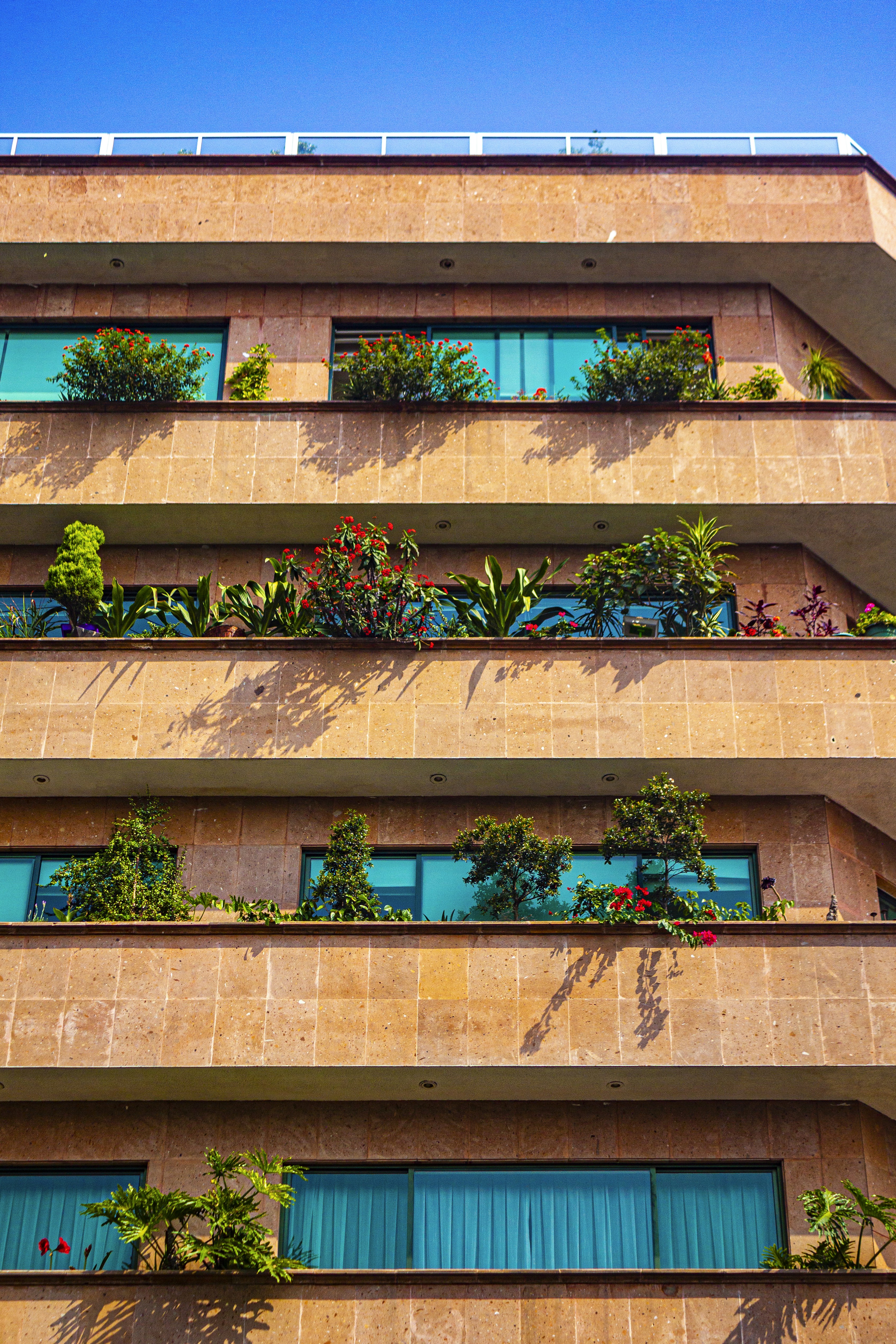 Photo by rotekirsche20
