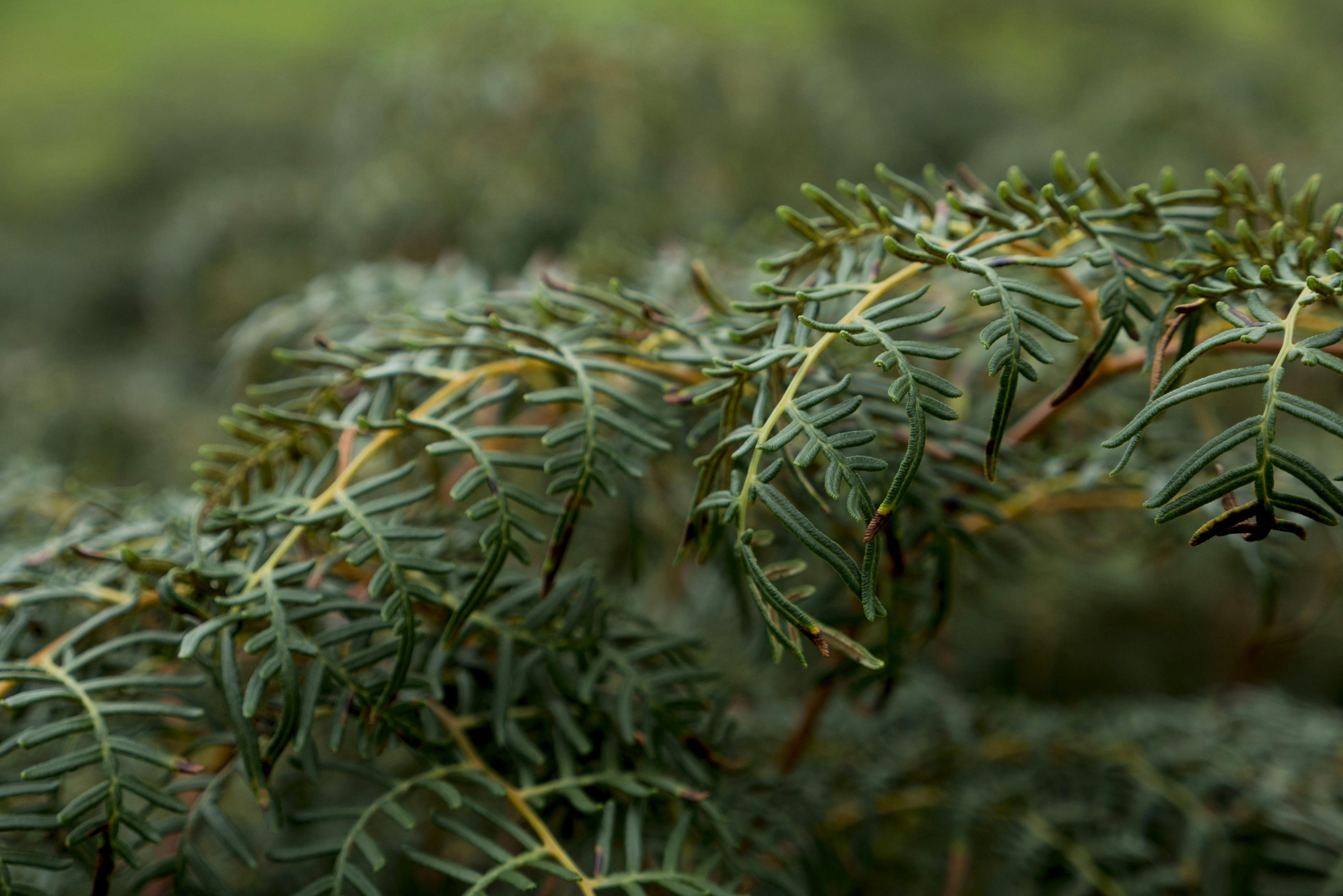 Photo by edmondcheok