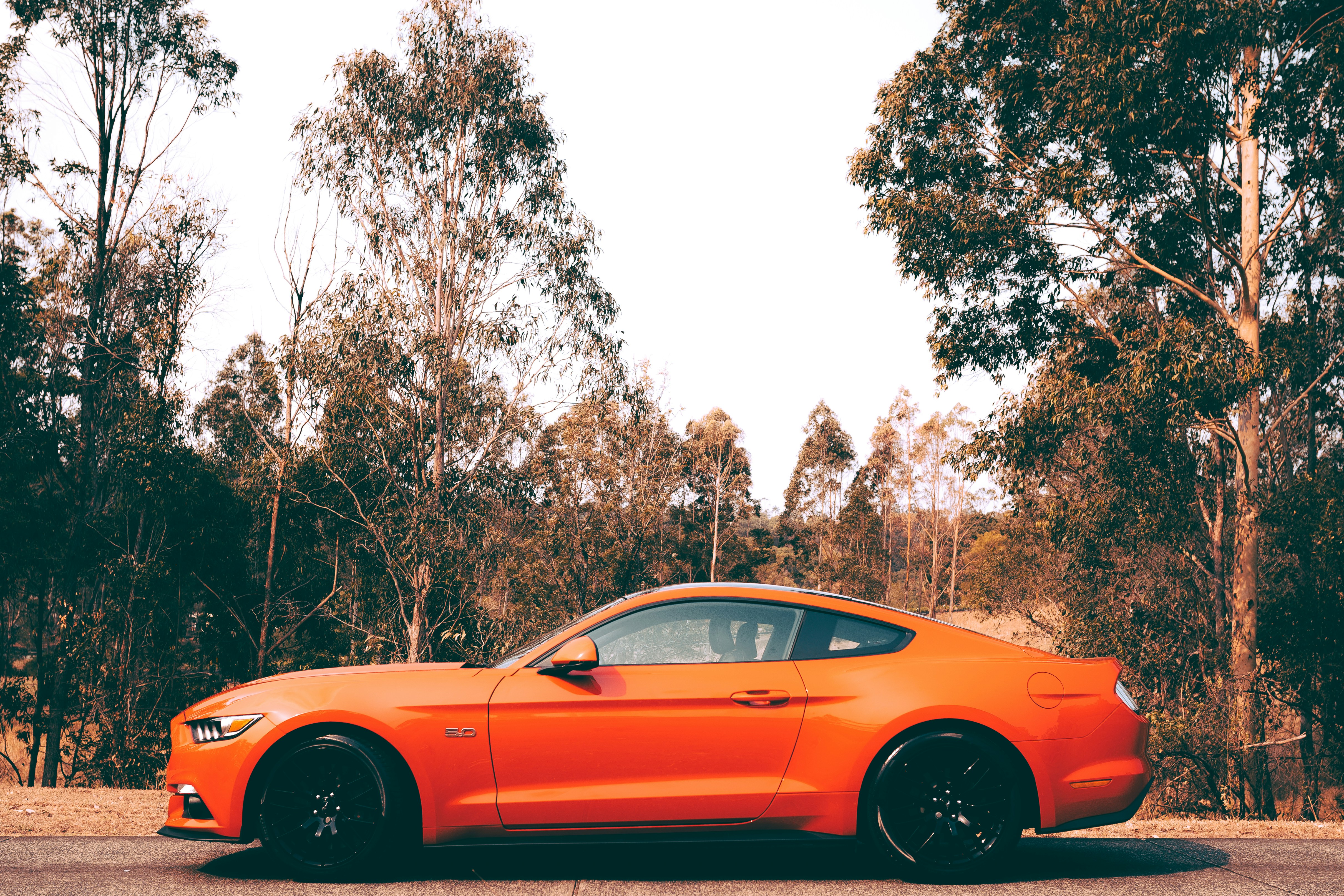 Photo by angus_buchanan