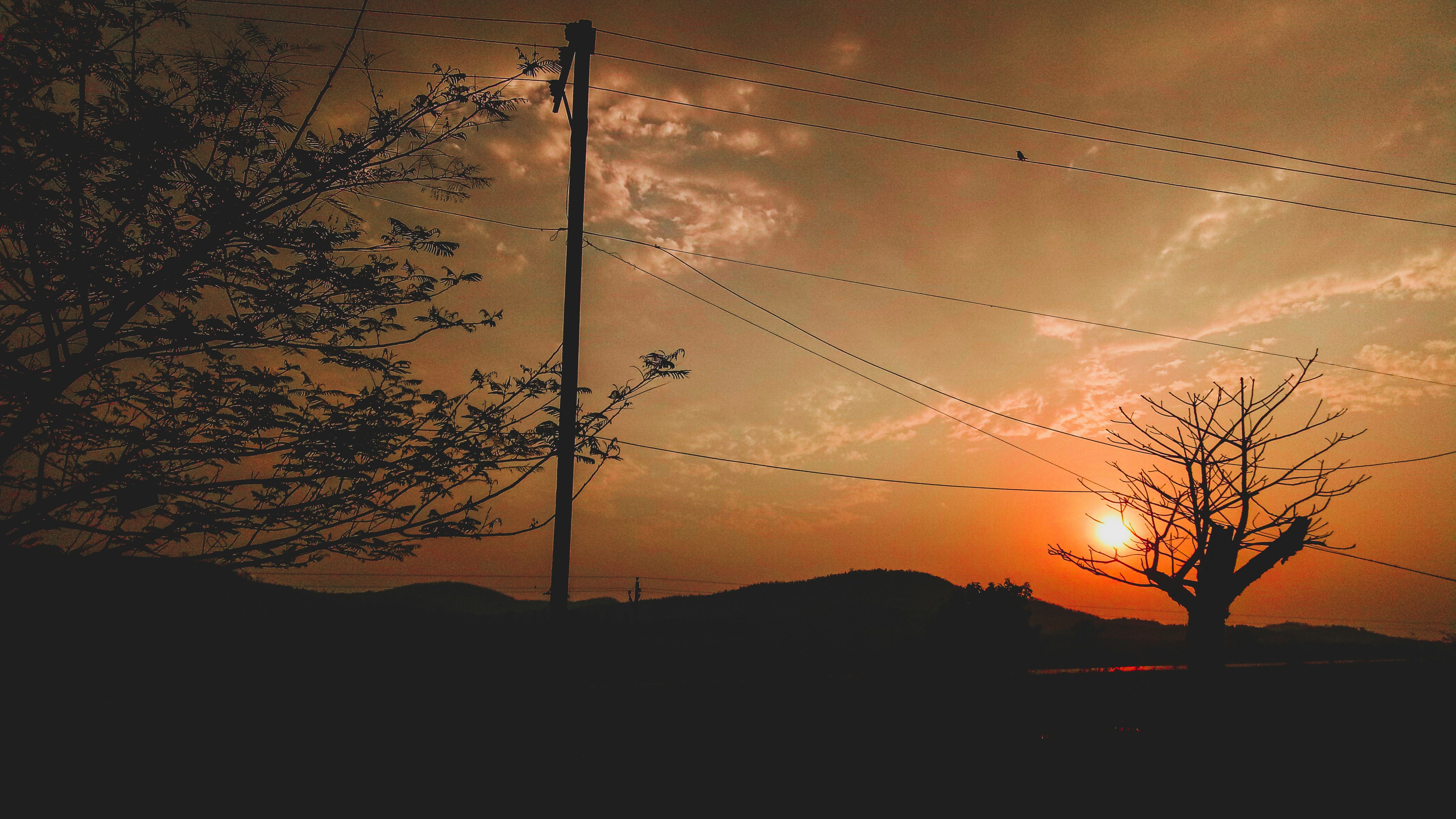 Photo by prasanna_kumar775