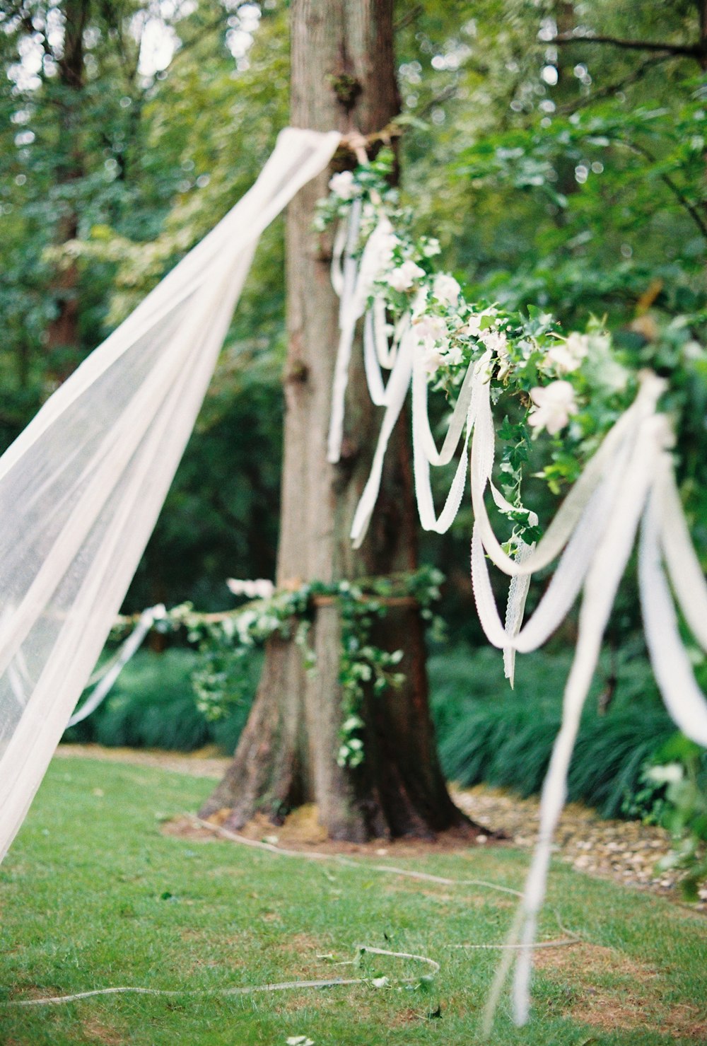 white flowers and white mesh decors during daytime