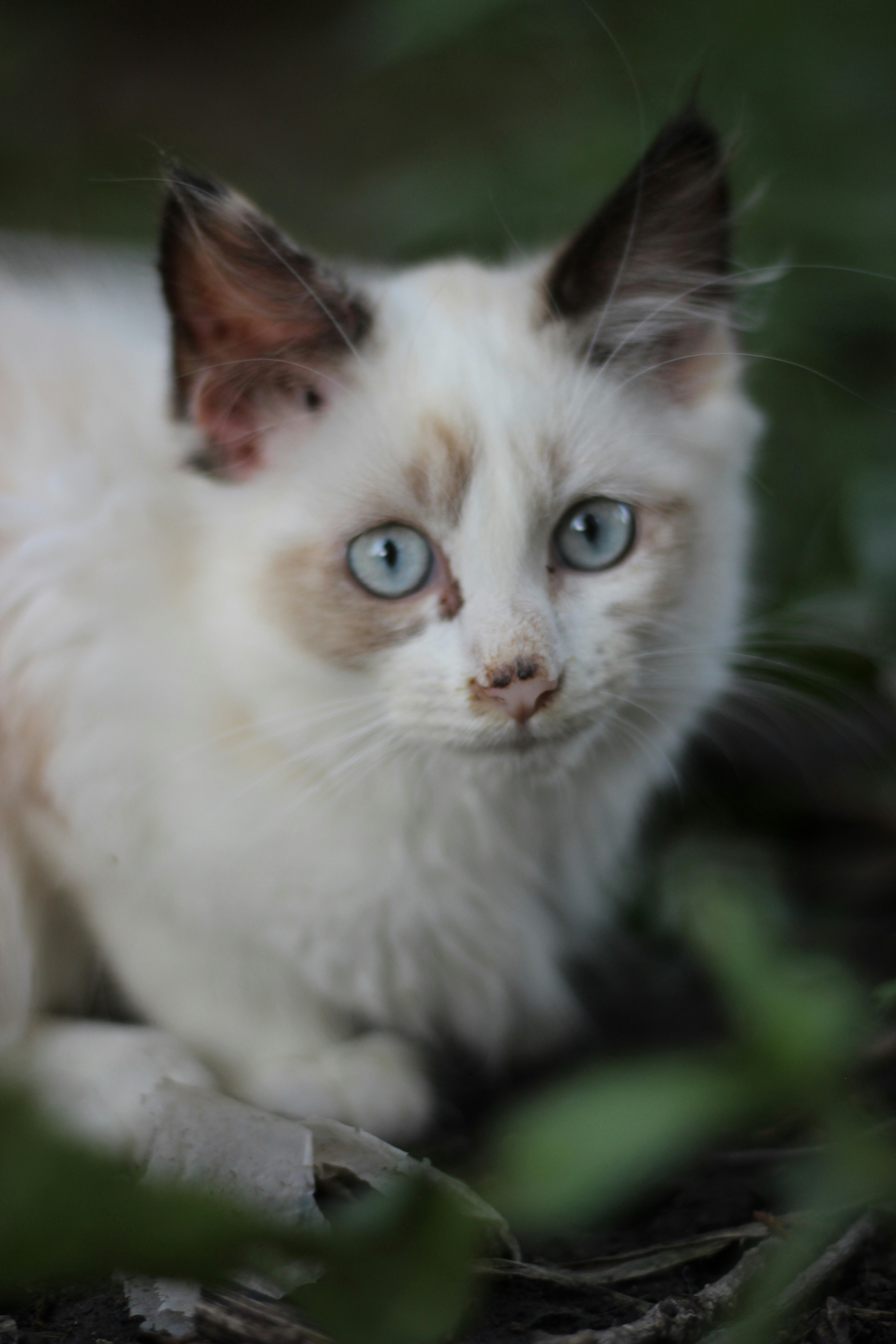 Photo by chelseakphotography