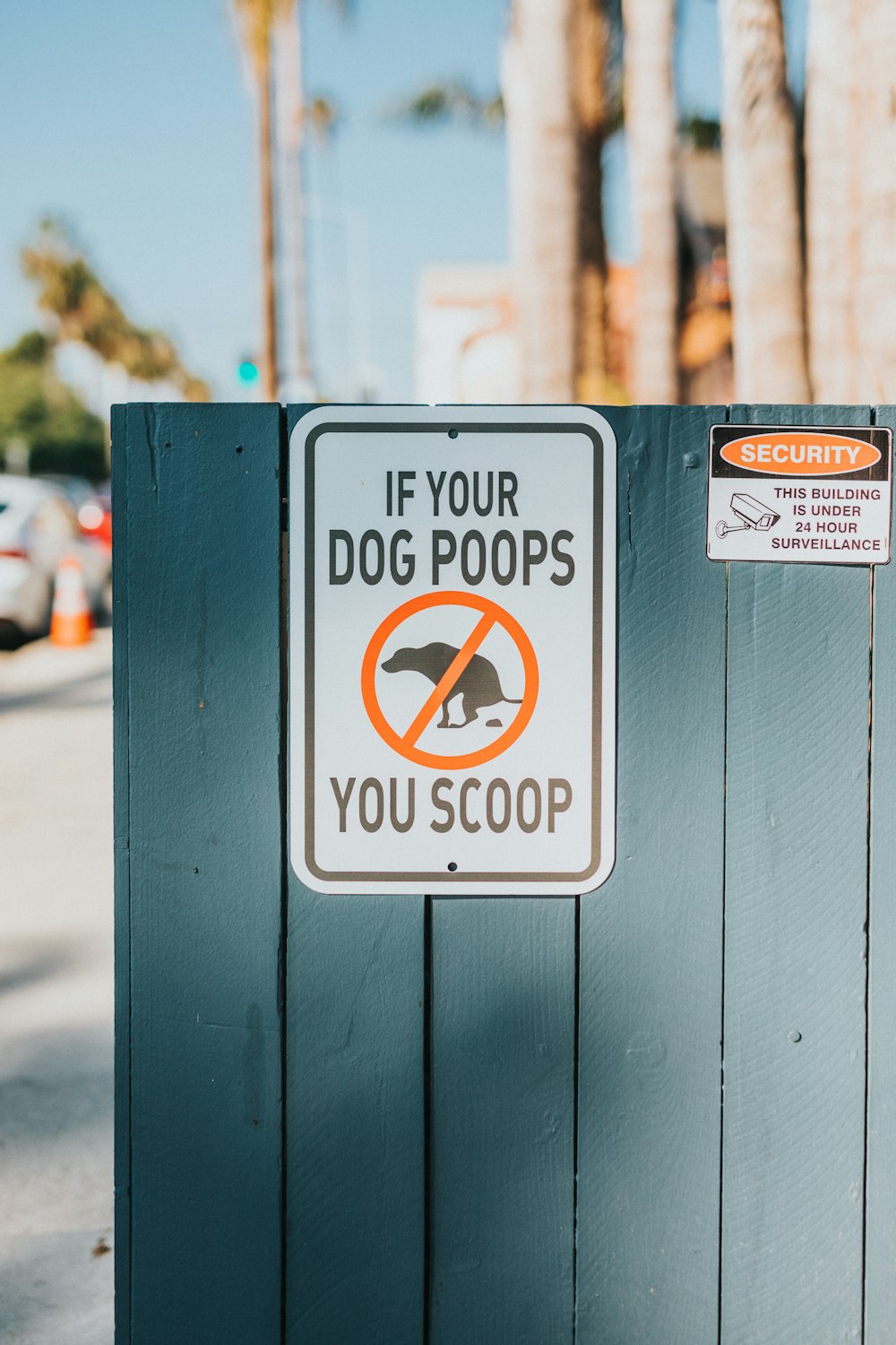if your dog pops you scoop signage on gray wall