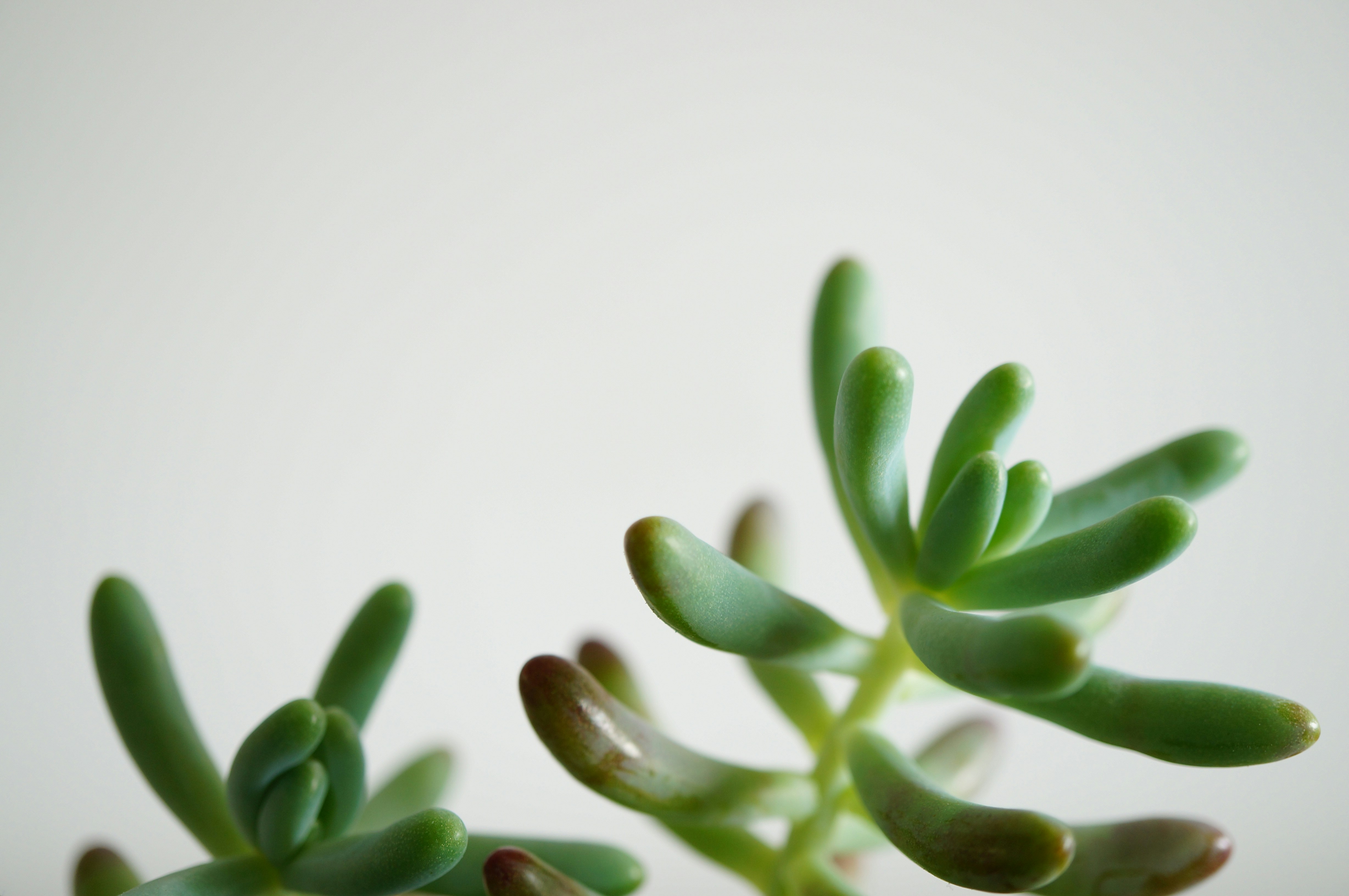 Photo by yuleeharris