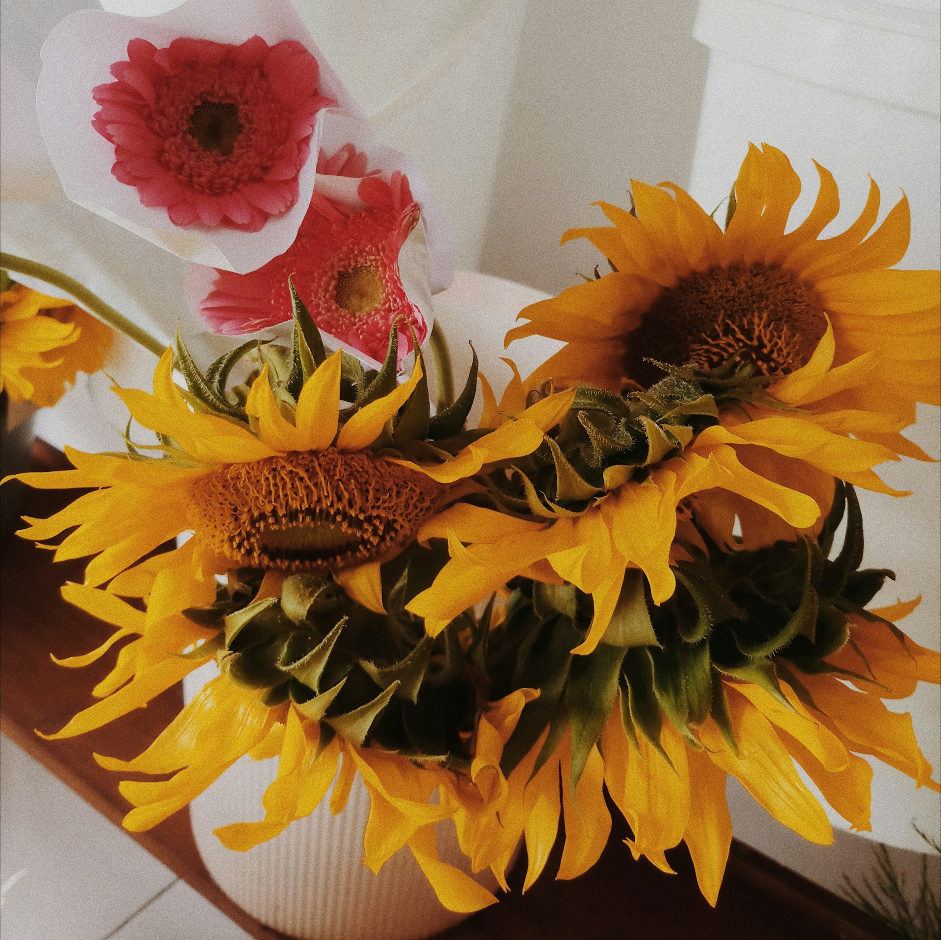 An elegant arrangement of sunflowers and daisies in a rustic vase, capturing the warmth and cheerfulness of the GCC sunshine.