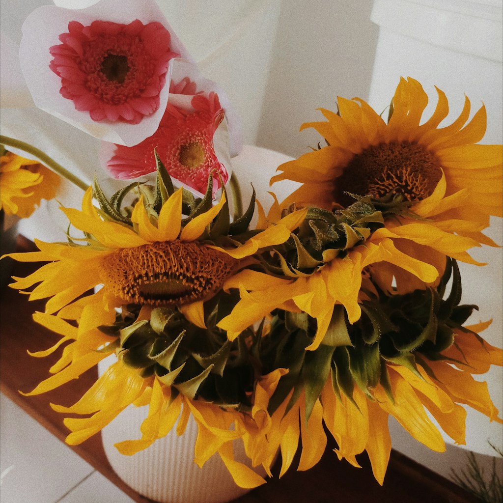 Sunny Flower Mix