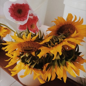 Sunny Flower Mix
