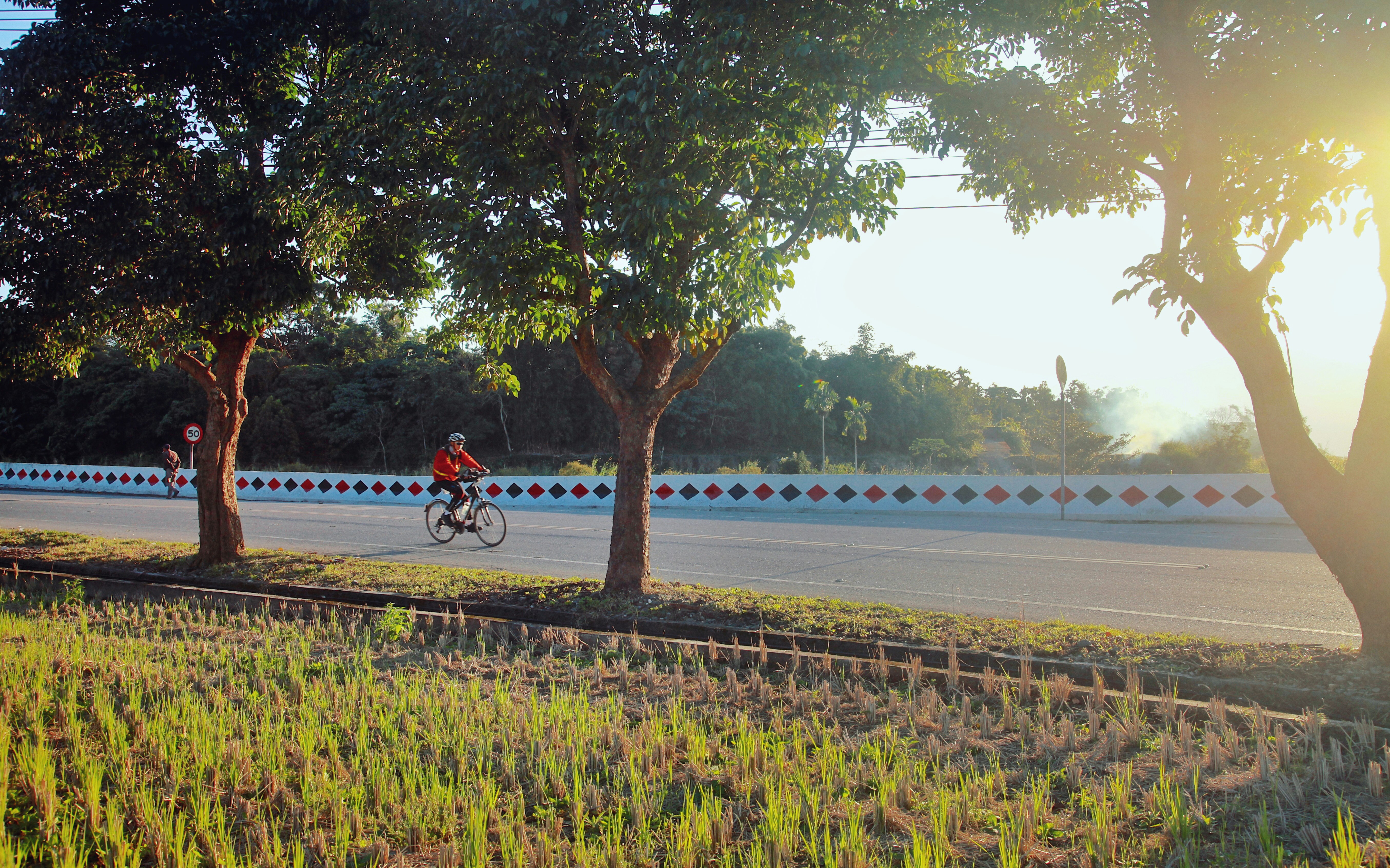 Cyclist in an orange jacket rides along a paved road.
