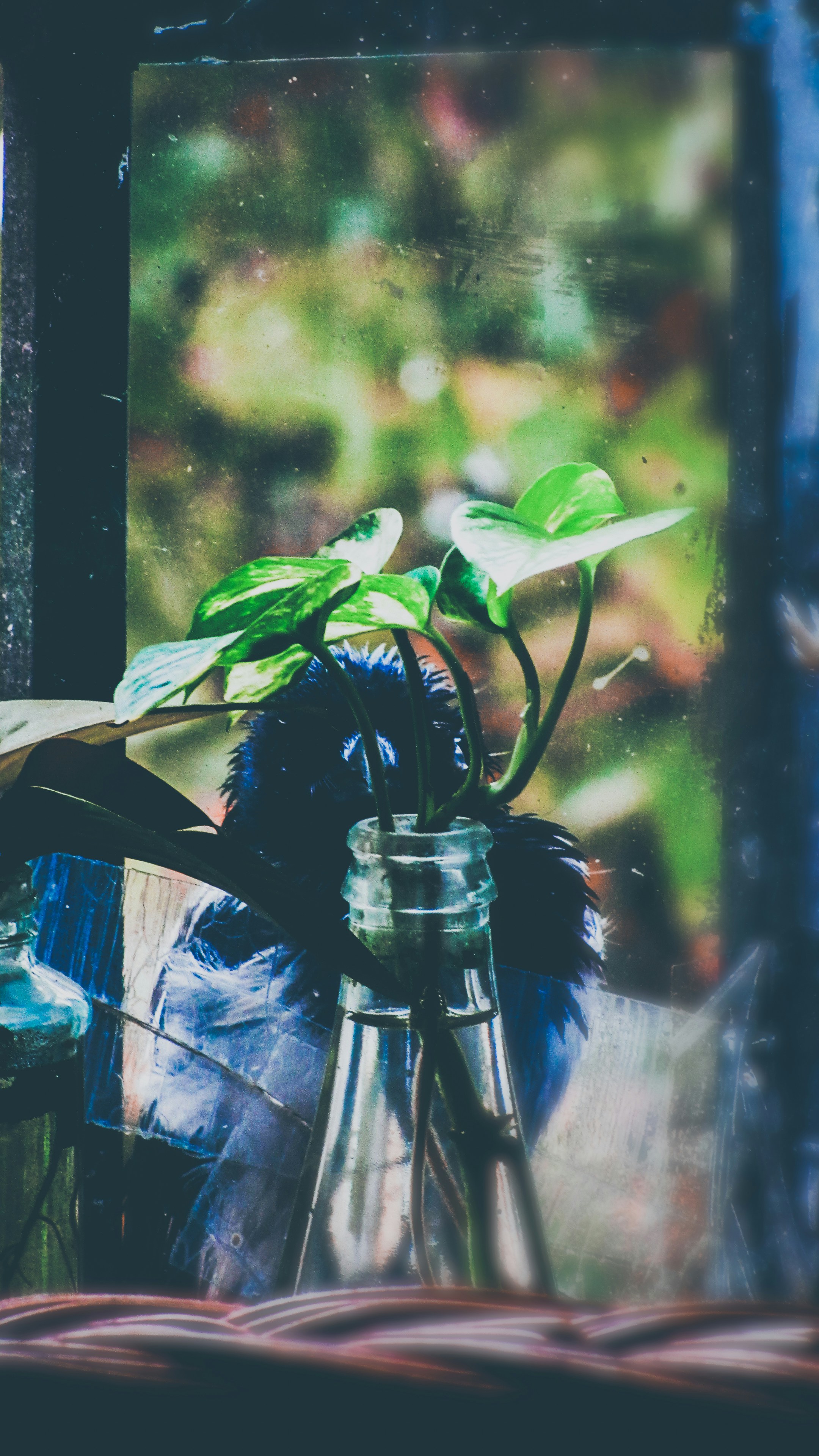 Photo by nasimkeshmiri