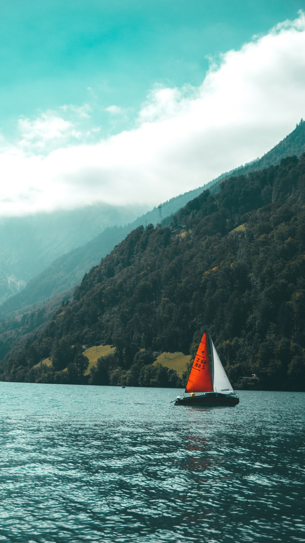 orange and white sailboat