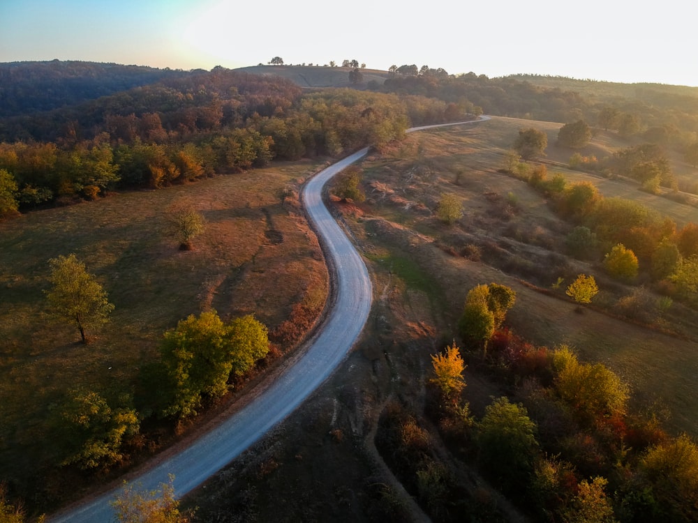 aerial photograph of road on hill between trees