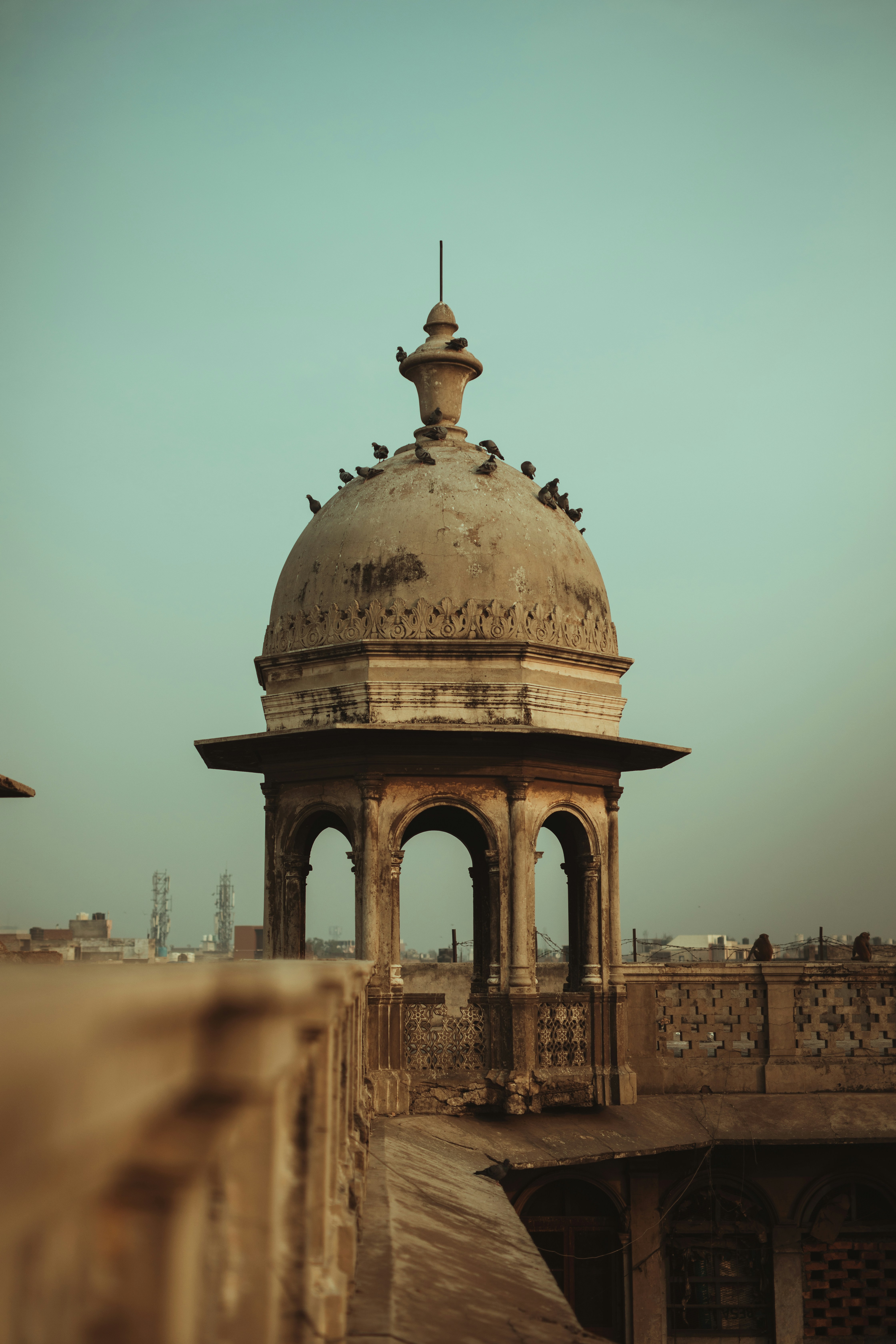 Photo by darklabsindia