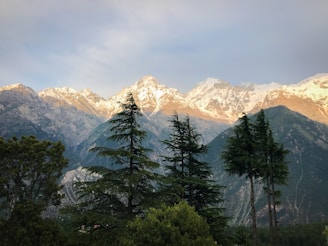 high angle photo of mountain