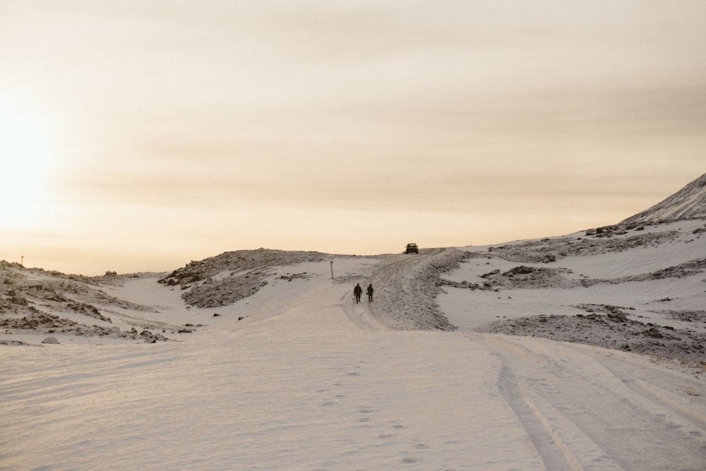 people walking during daytime