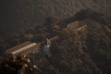 A large building with a brown roof is nestled among dense, dark green foliage on a mountainside. The sunlight casts soft shadows over the structure and surrounding trees, creating a serene and secluded atmosphere.