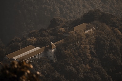 A large building with a brown roof is nestled among dense, dark green foliage on a mountainside. The sunlight casts soft shadows over the structure and surrounding trees, creating a serene and secluded atmosphere.