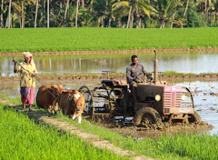 Agricultural technology