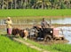 Sustainable Farming