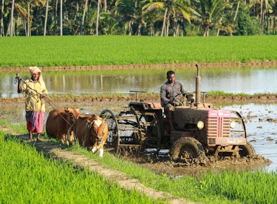 Farm Management Services