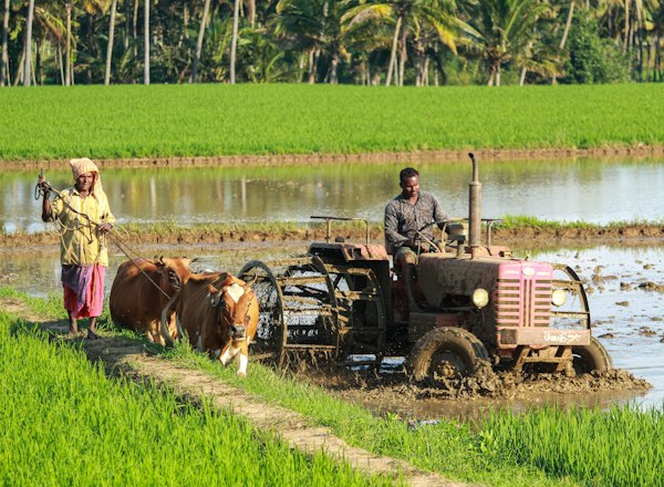 Farm Management Services