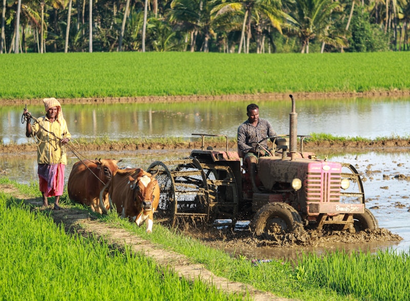 Traditional organic farming