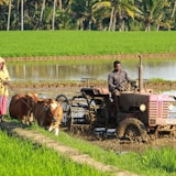 Vintage tractor