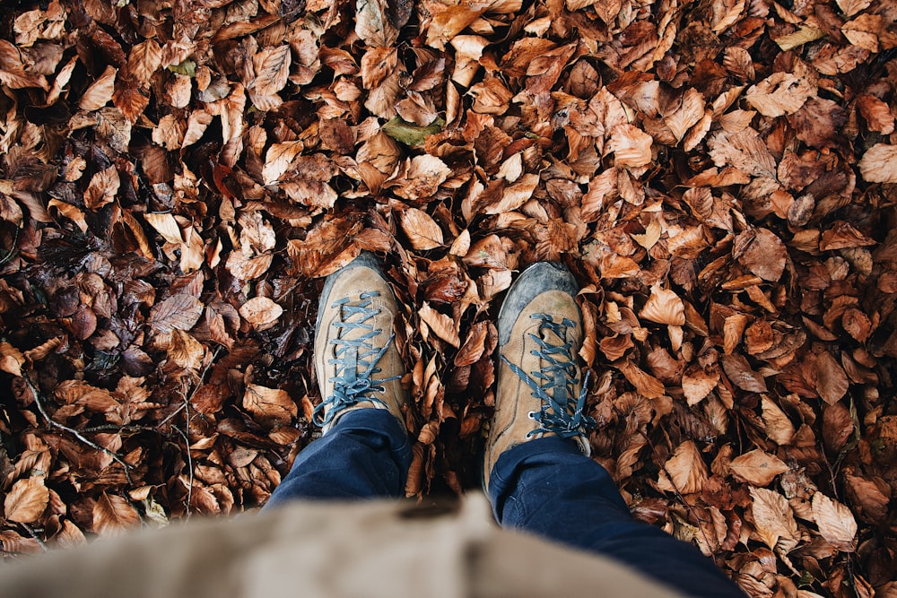 pair of brown shoes on withered leaves