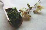 A rustic wooden spoon holding golden natural sweeteners against a deep green leafy background.