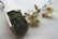 Artistic shot of a wooden spoon scooping vibrant herbal powder with natural herbs scattered around.