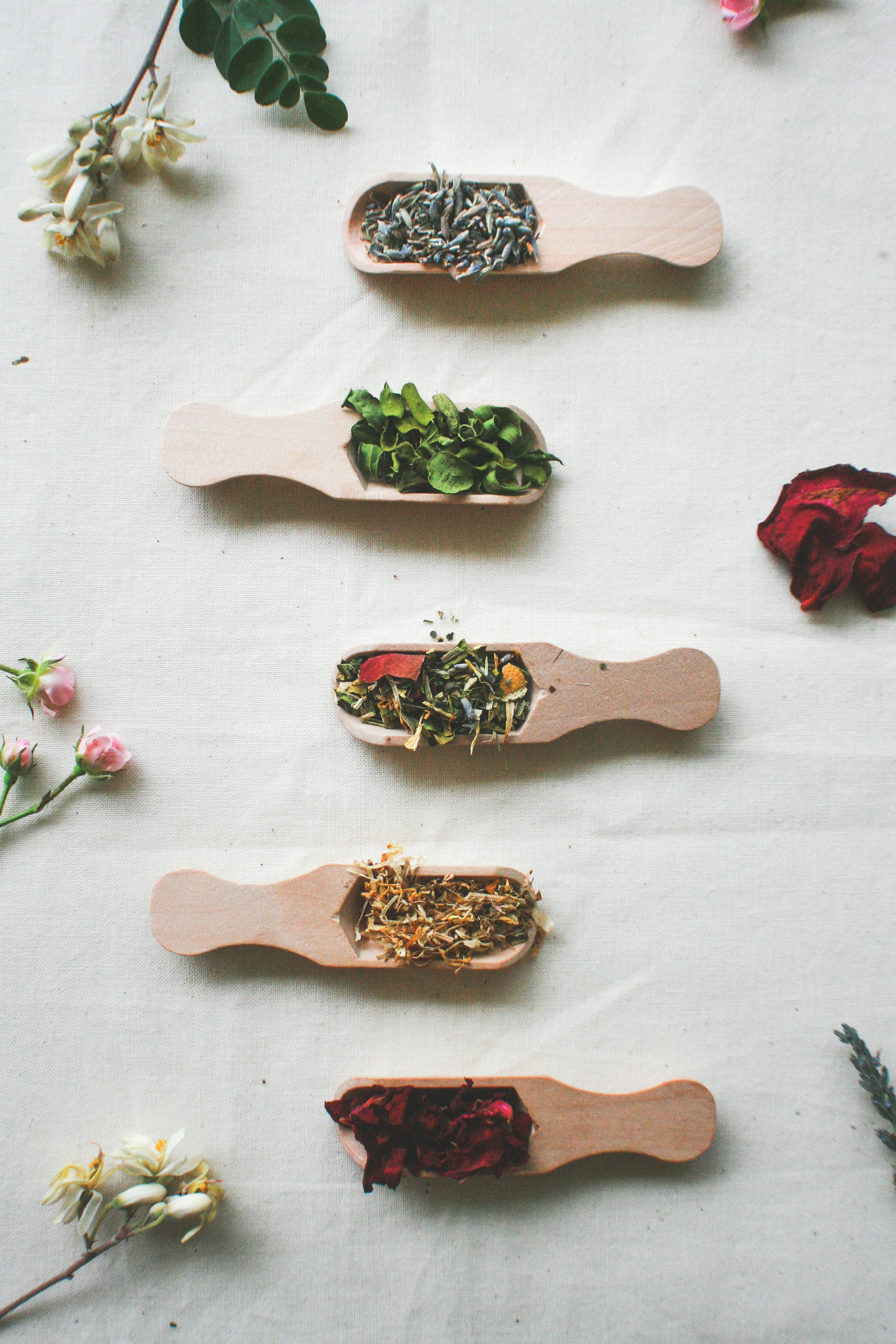 Photo by mysticfoxmama