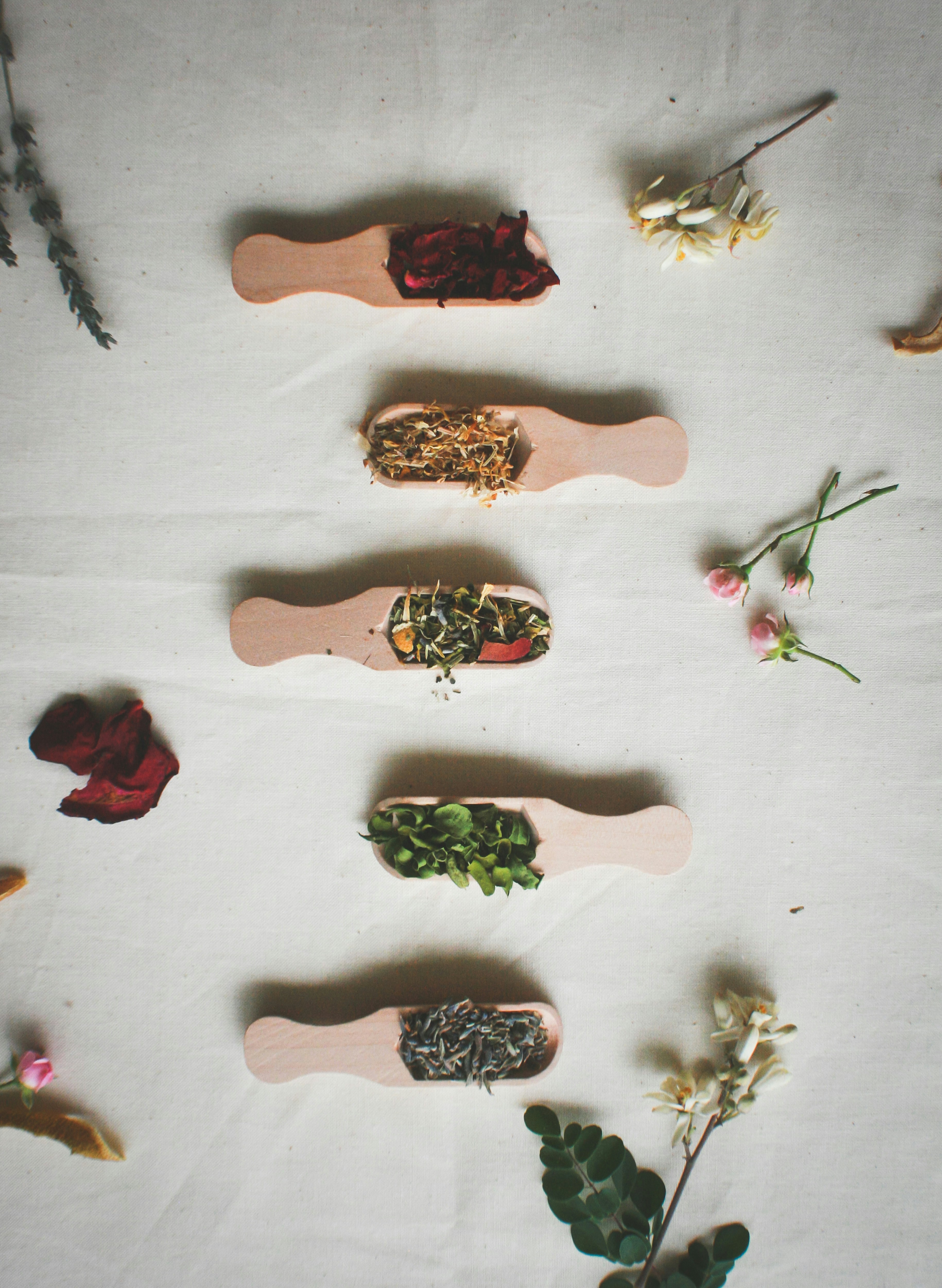 Photo by mysticfoxmama