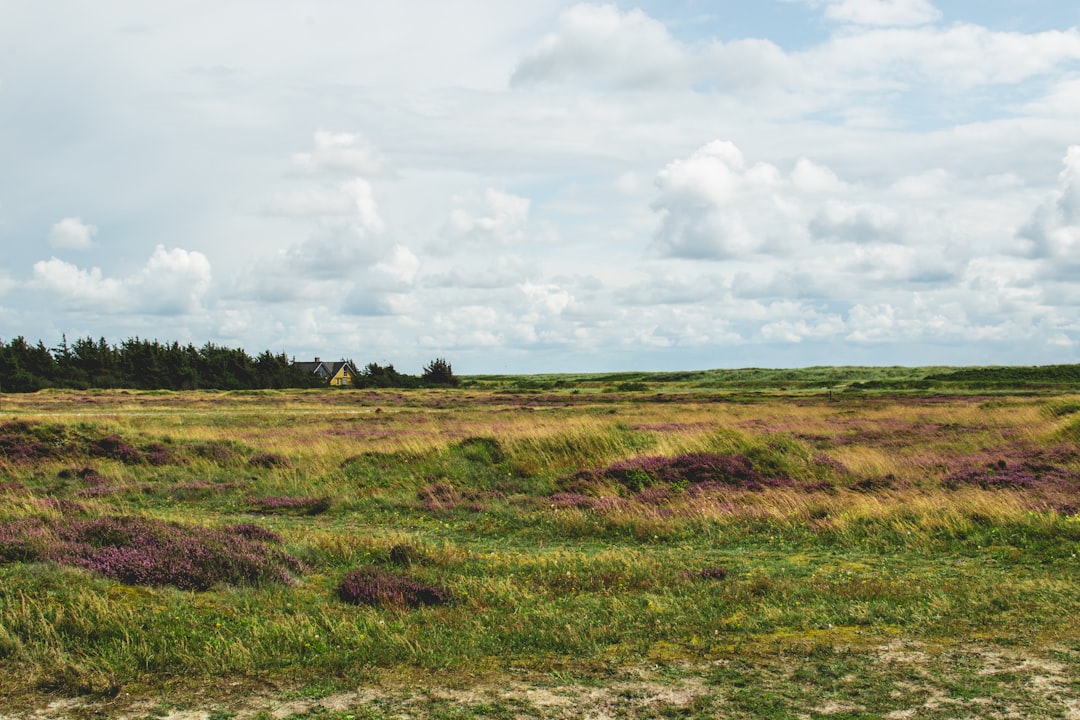 travelers stories about Plain in Blåvand, Denmark