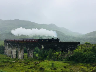 A vintage sepia-toned photograph of a steam train crossing a misty countryside at dawn.