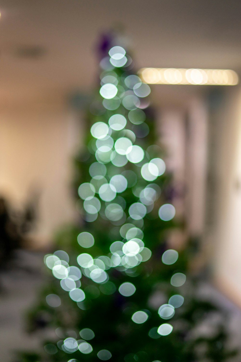 Christmas tree indoors