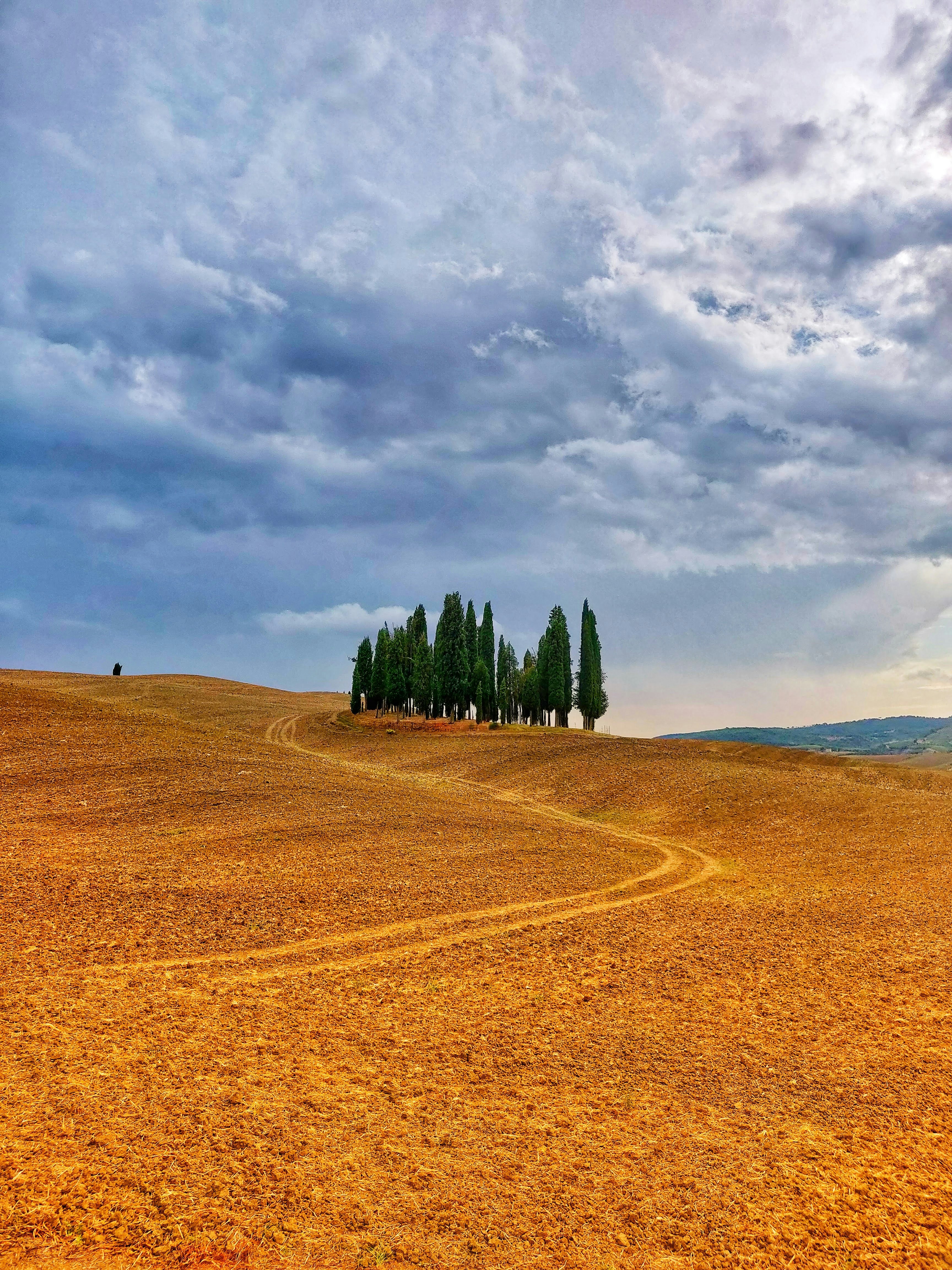 Photo by gpessia