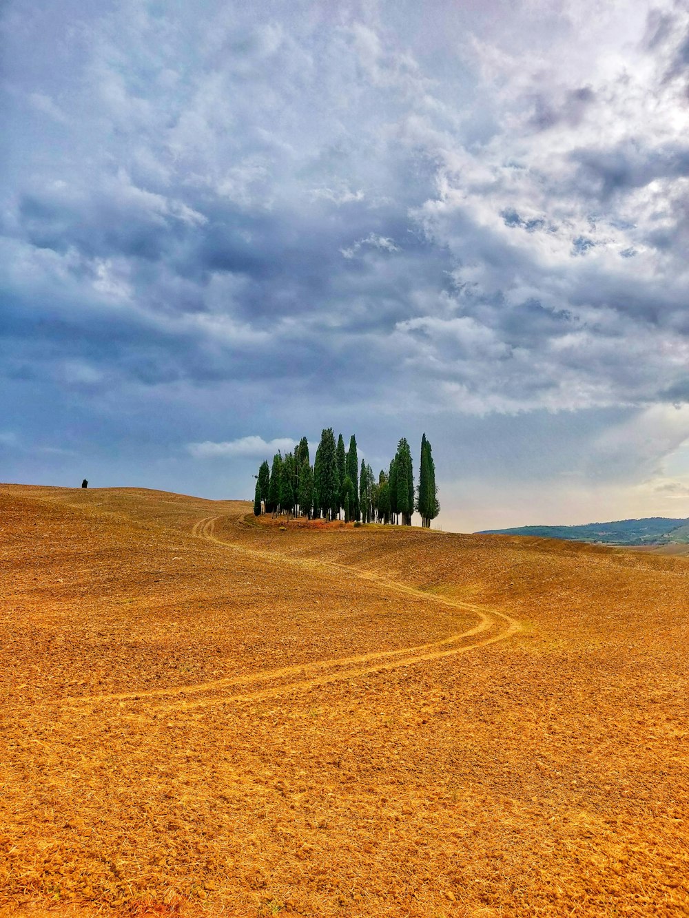 green trees under cloudy sky