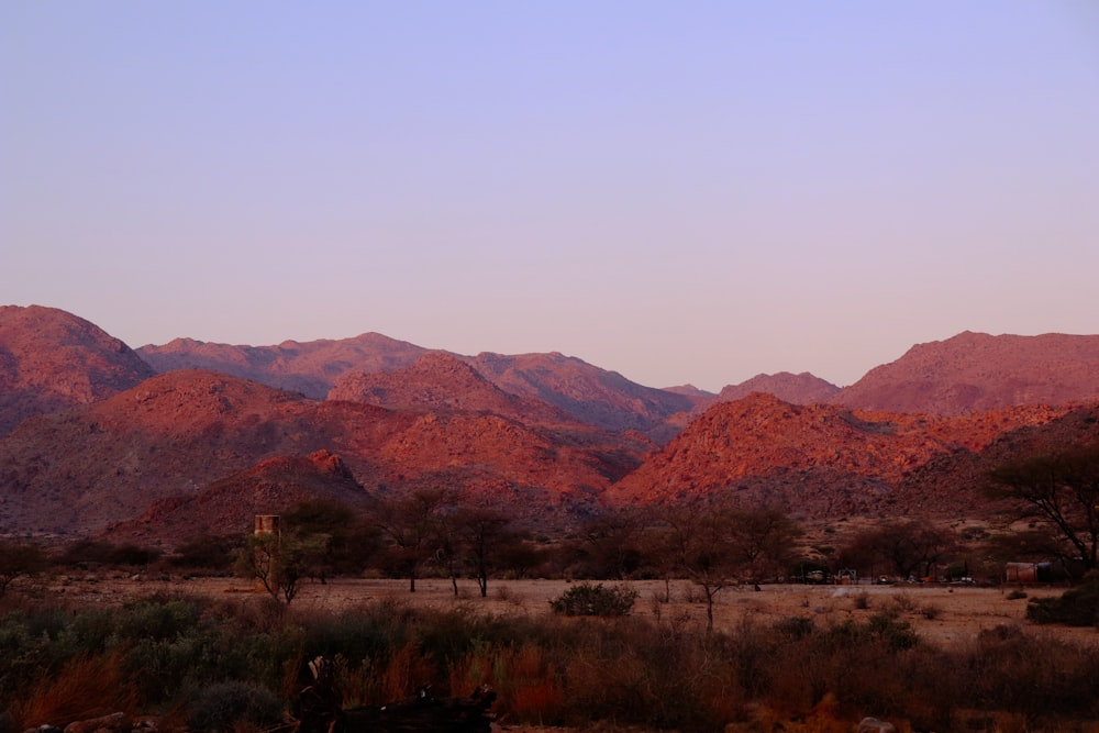 mountain range during daytime