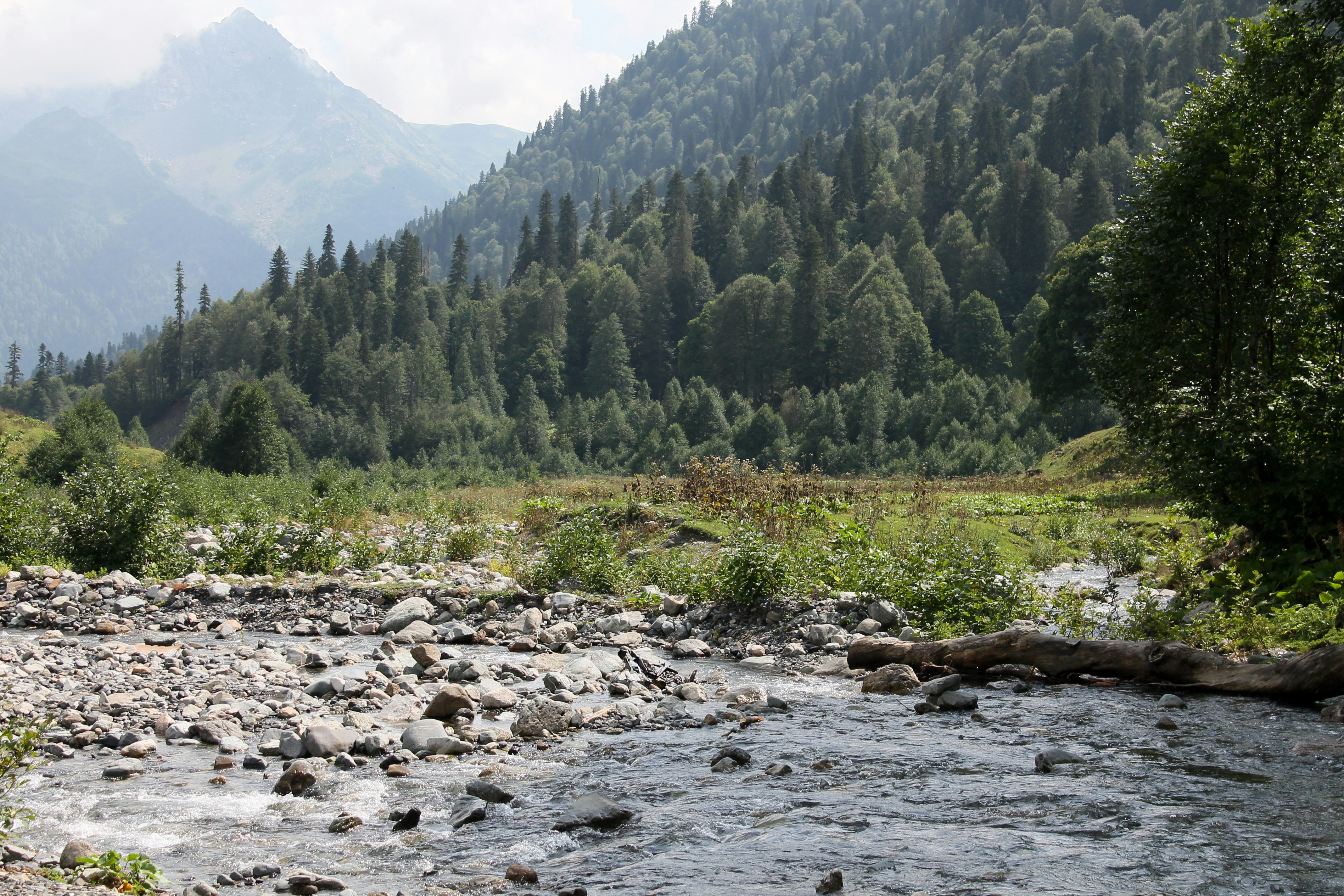 clear body of water during daytime